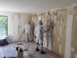 Best Environmental Consulting for Mold Prevention  in St Louis, MO